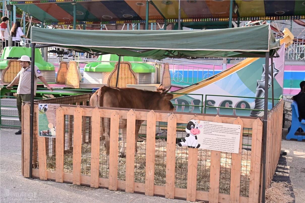 Dream Park Jungle Edition