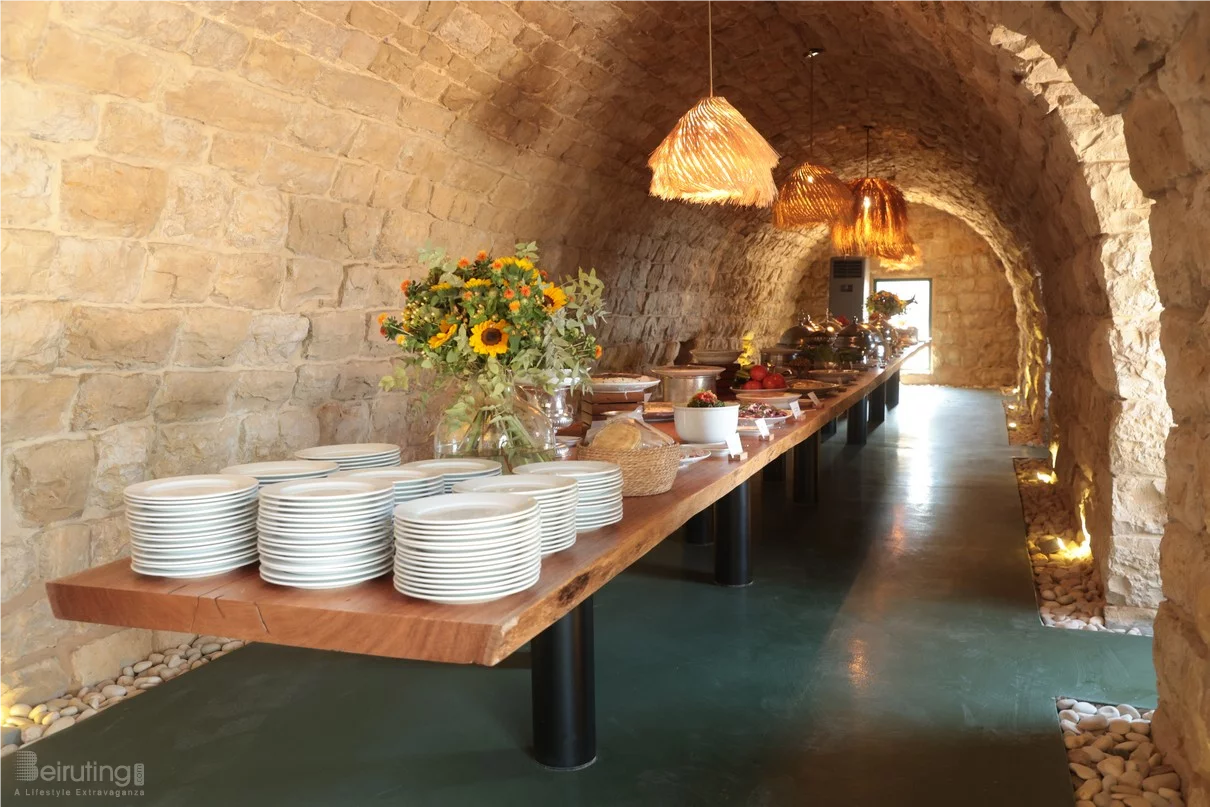 Exploring the Beauty of Chouf