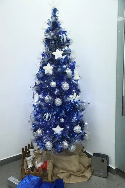 Christmas Celebration at Dr. Anthony Fakhoury's Clinic
