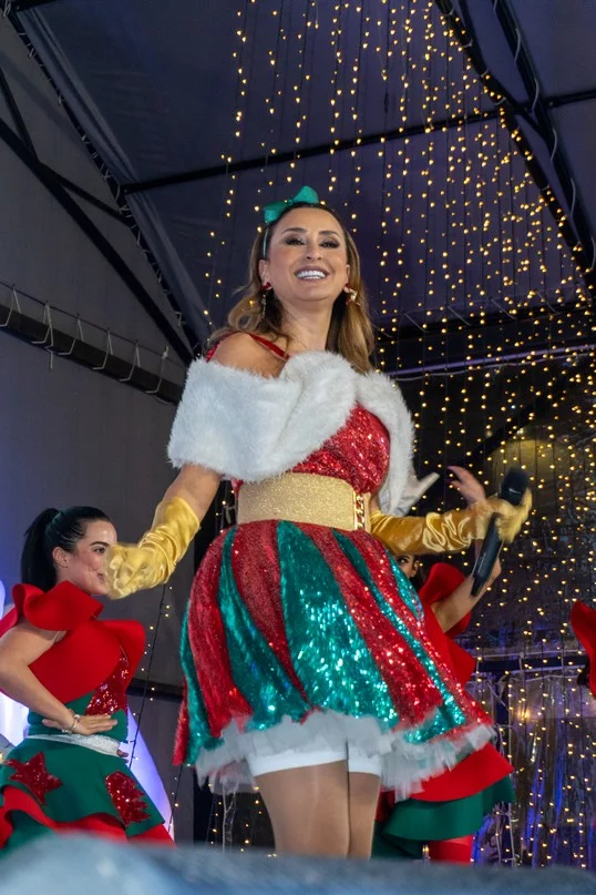 Le Boulevard de Noel