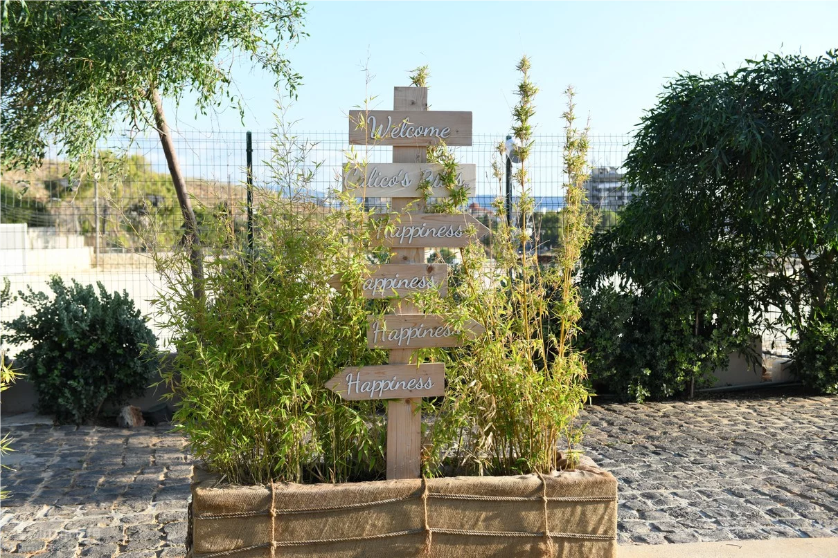 Summer Season Opening of Calico Beach Club