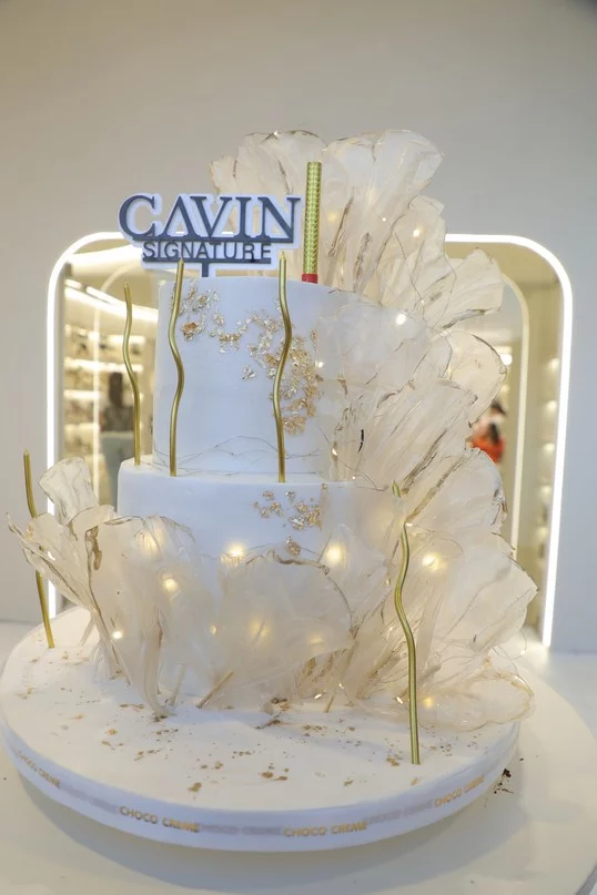 Opening of Cavin
