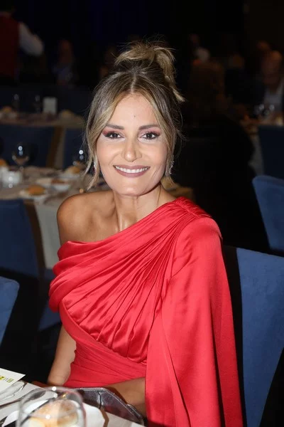 Chris De Burgh at Casino Du Liban