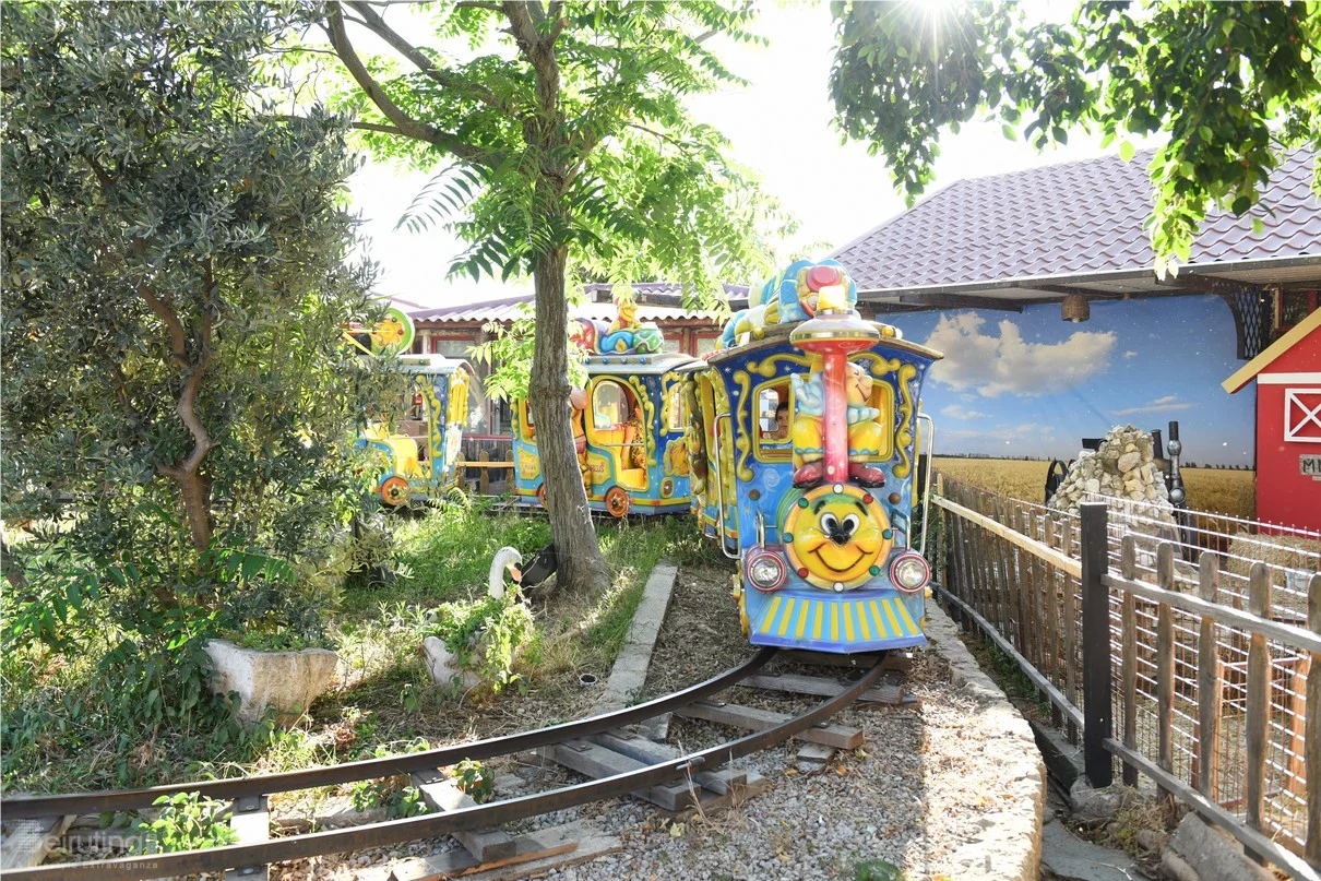 Dream Park's Jungle Edition