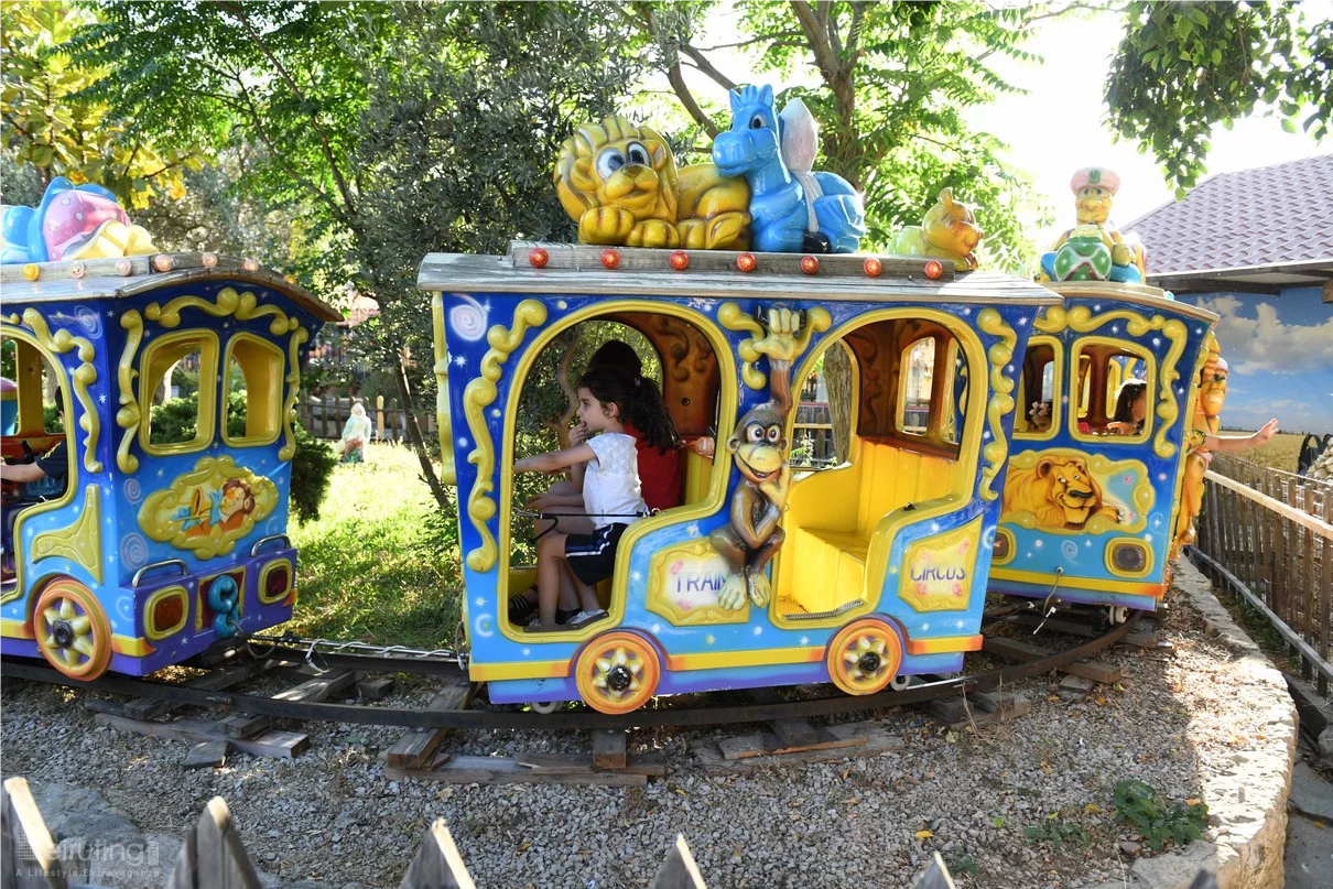 Dream Park's Jungle Edition