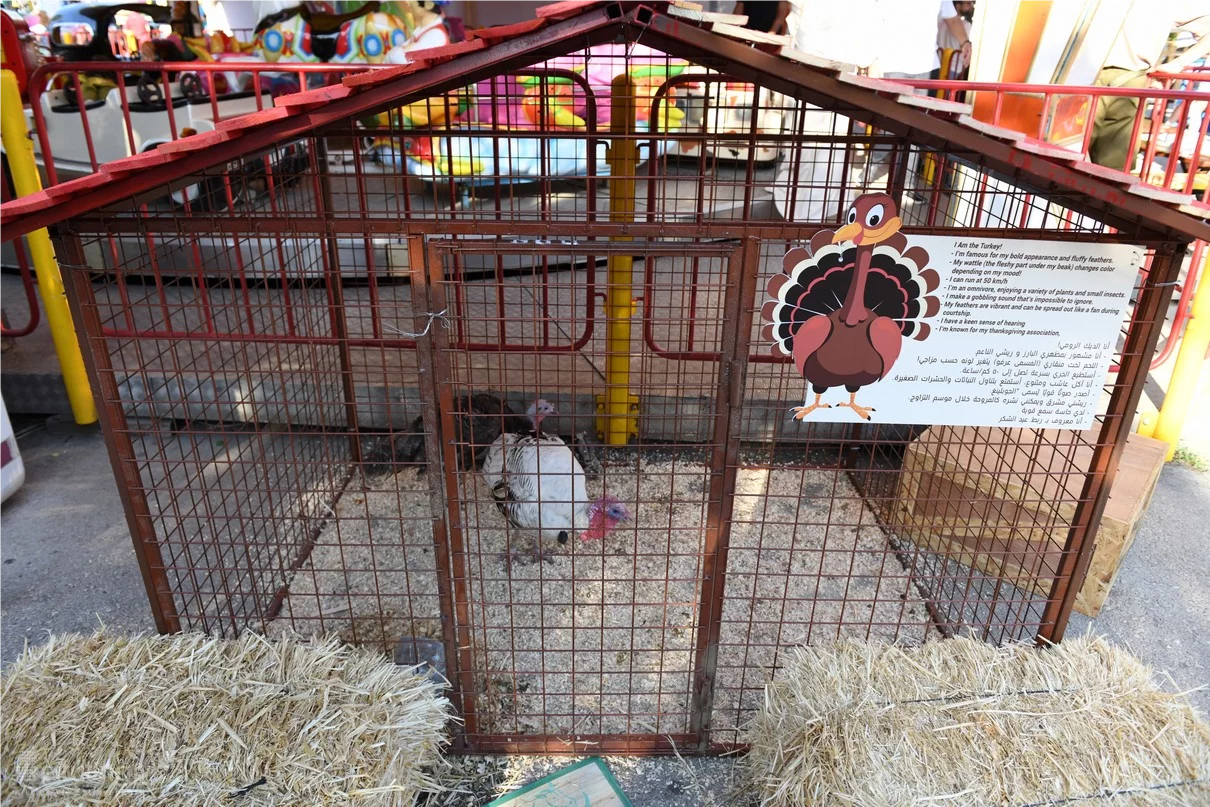 Dream Park's Jungle Edition