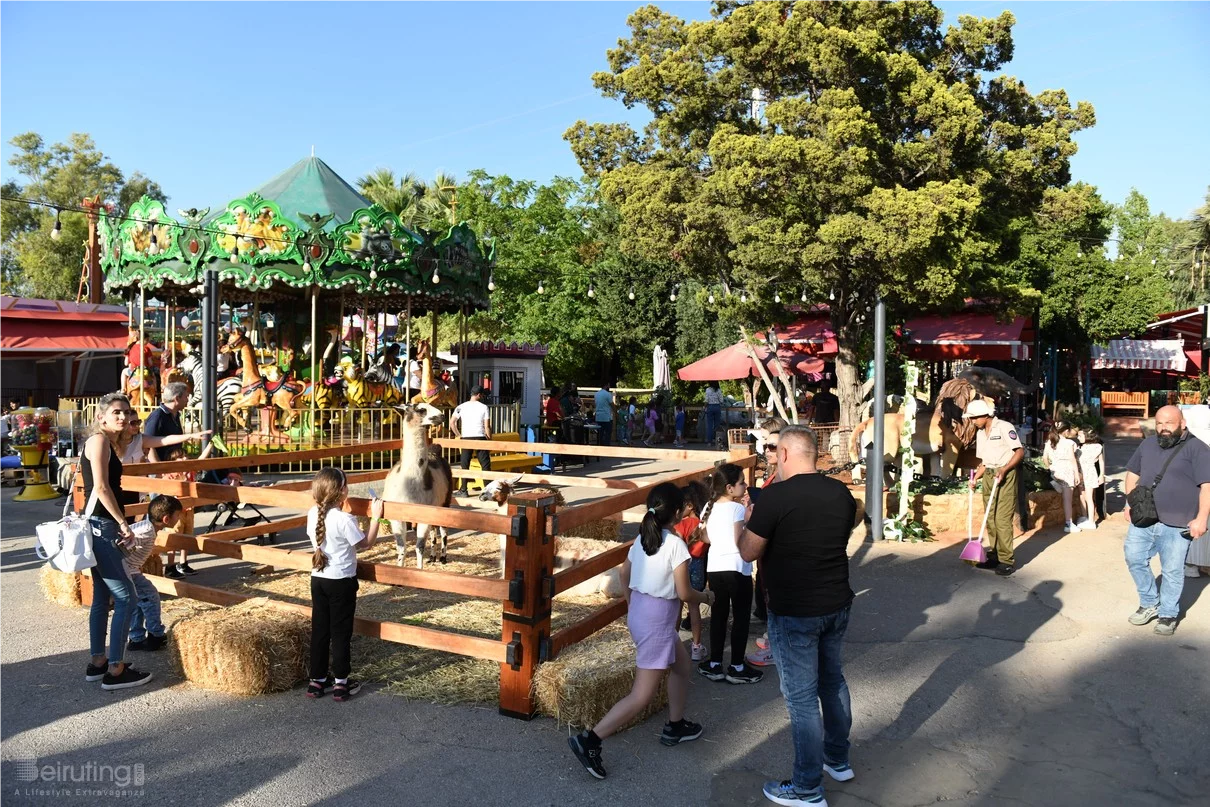 Dream Park's Jungle Edition