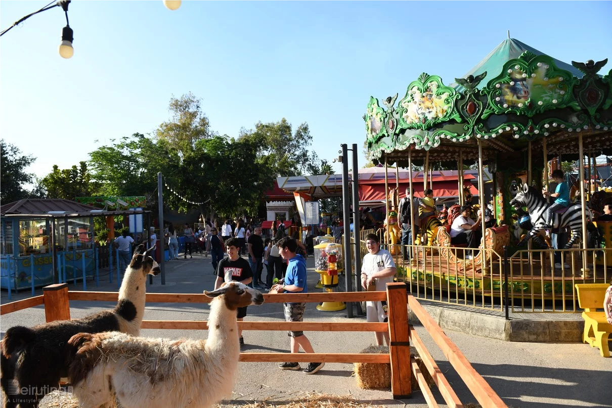 Dream Park's Jungle Edition