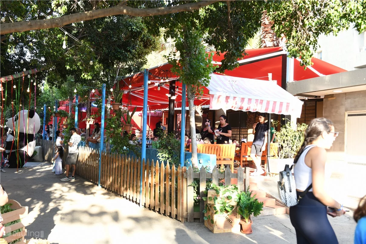 Dream Park's Jungle Edition