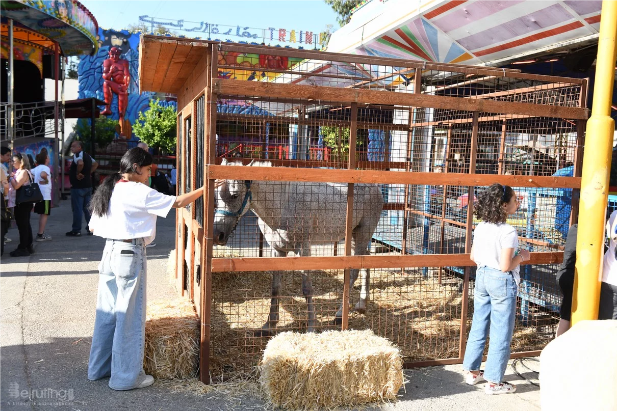 Dream Park's Jungle Edition