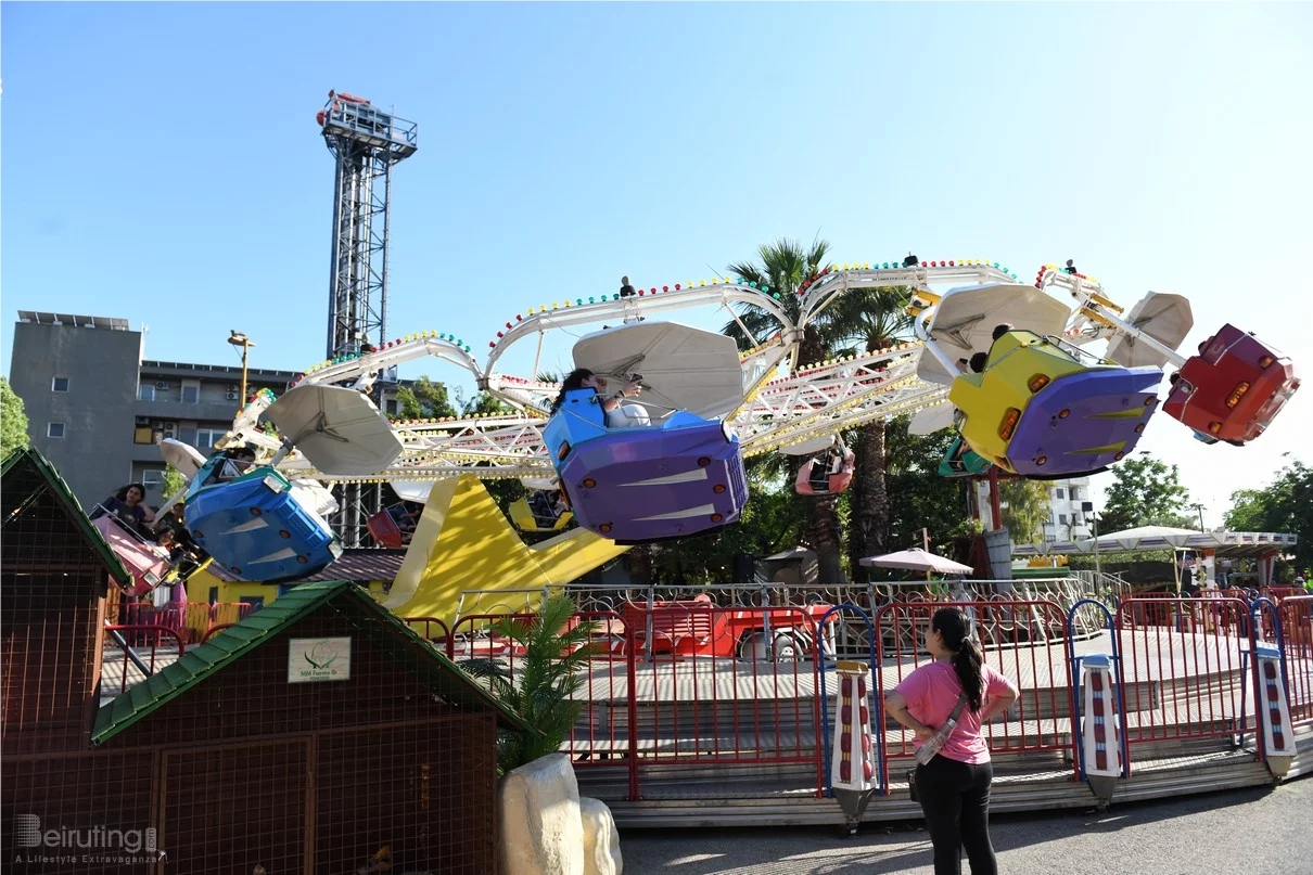 Dream Park's Jungle Edition