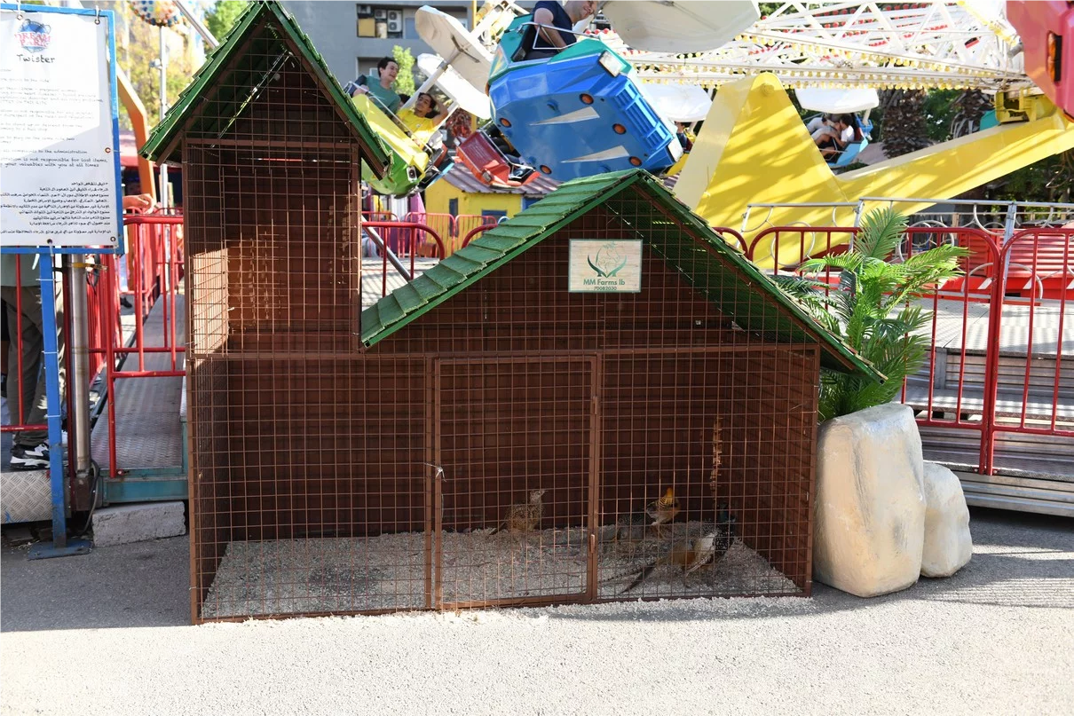 Dream Park's Jungle Edition