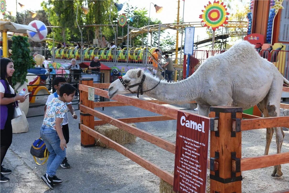 Dream Park's Jungle Edition