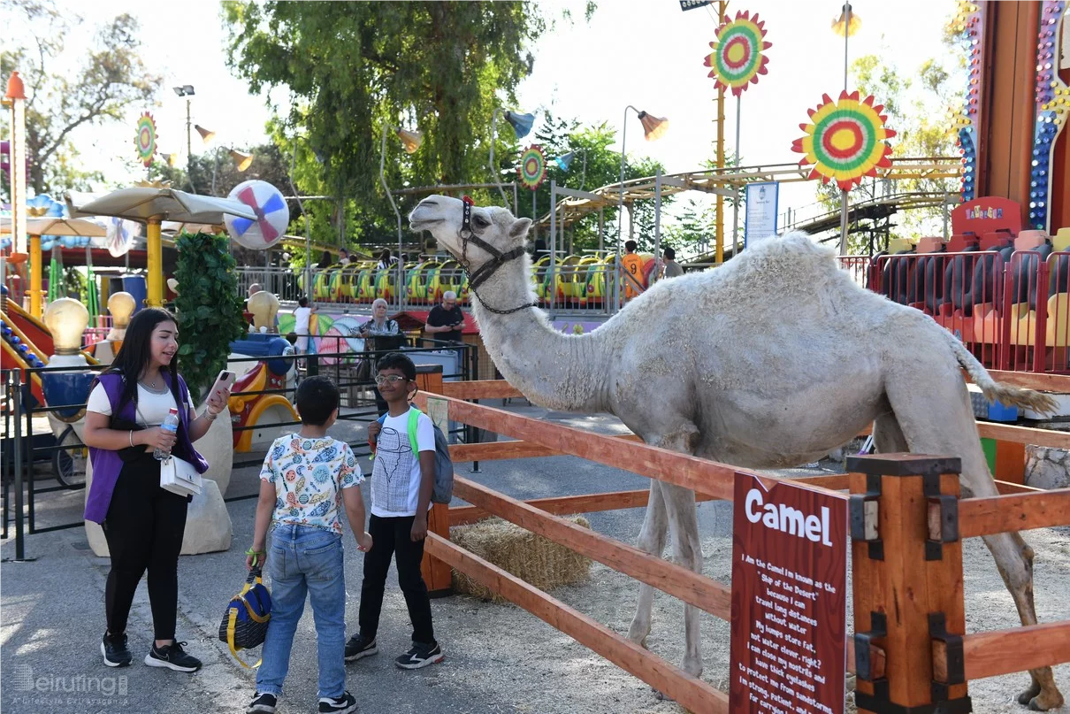 Dream Park's Jungle Edition