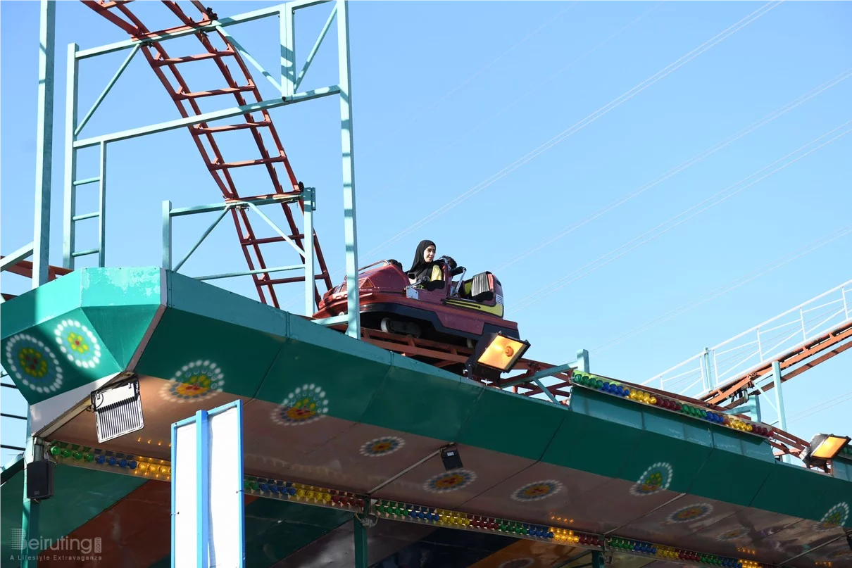 Dream Park's Jungle Edition