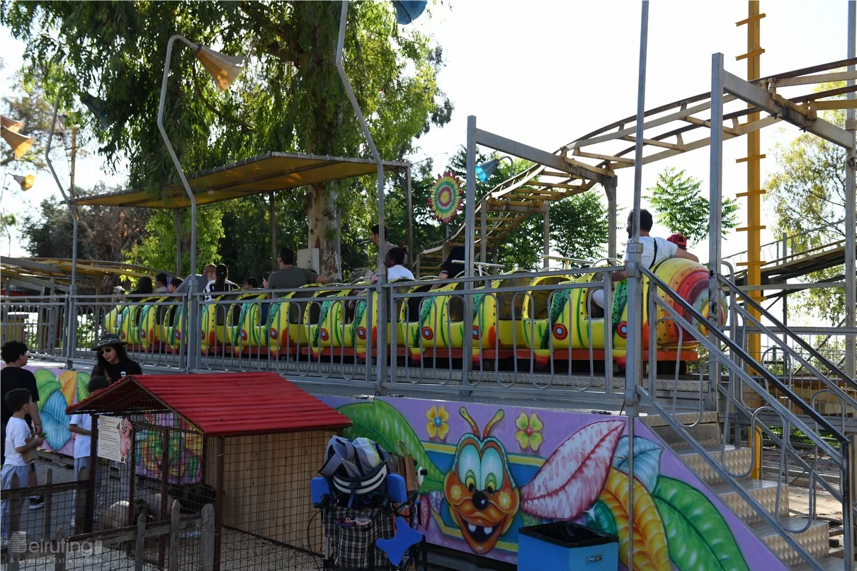 Dream Park's Jungle Edition