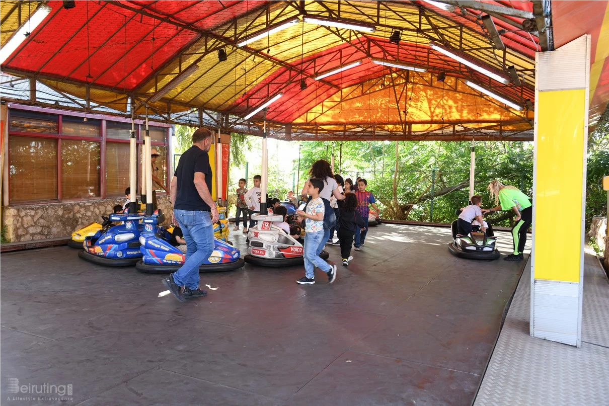 Dream Park's Jungle Edition