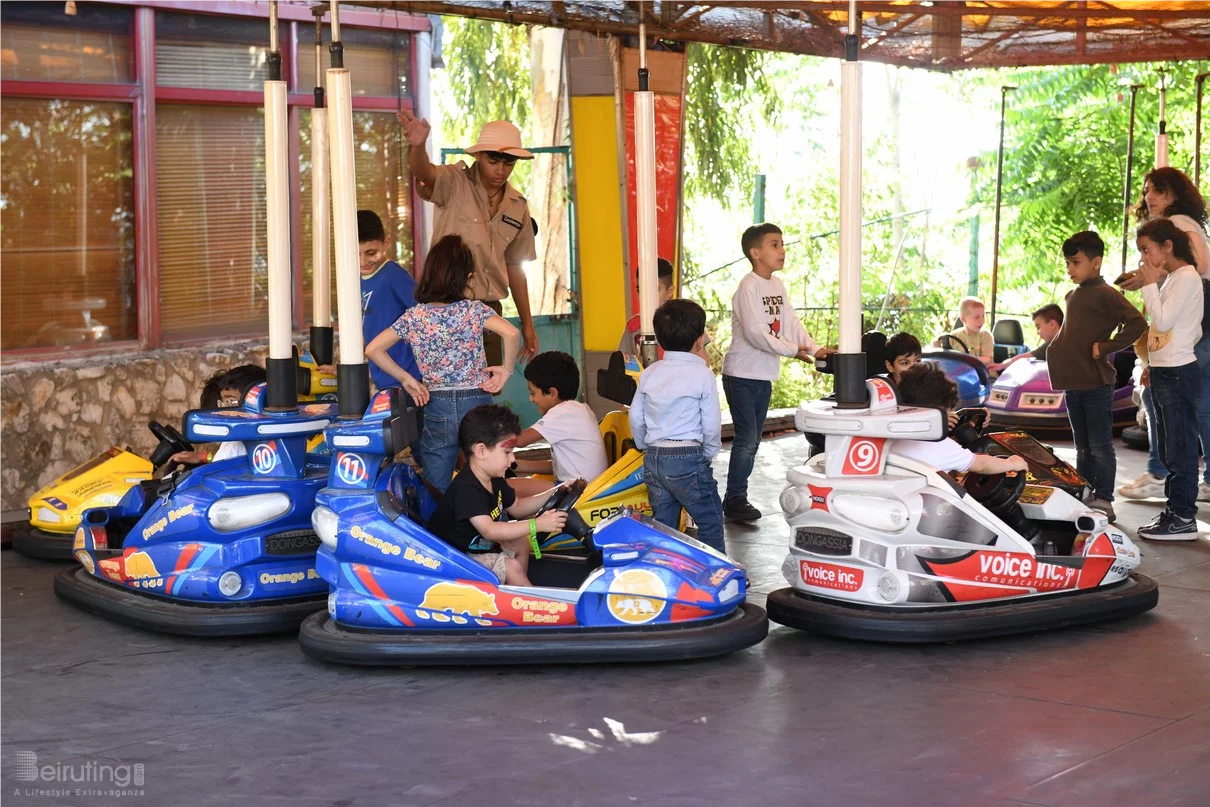 Dream Park's Jungle Edition