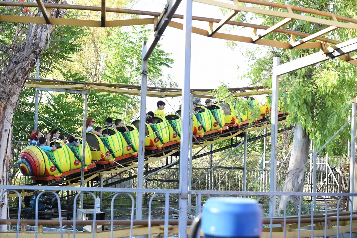 Dream Park's Jungle Edition