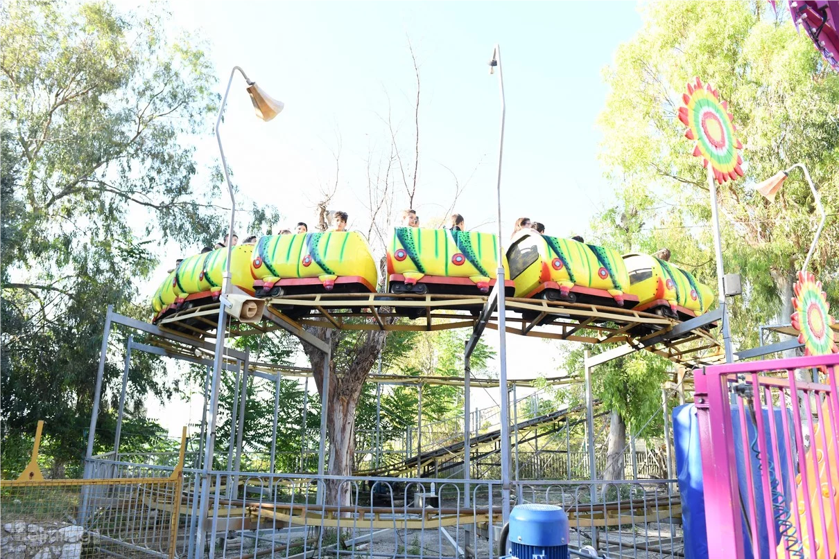 Dream Park's Jungle Edition