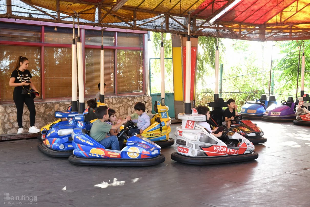 Dream Park's Jungle Edition