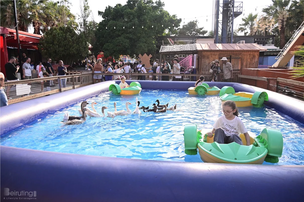 Dream Park Jungle Edition