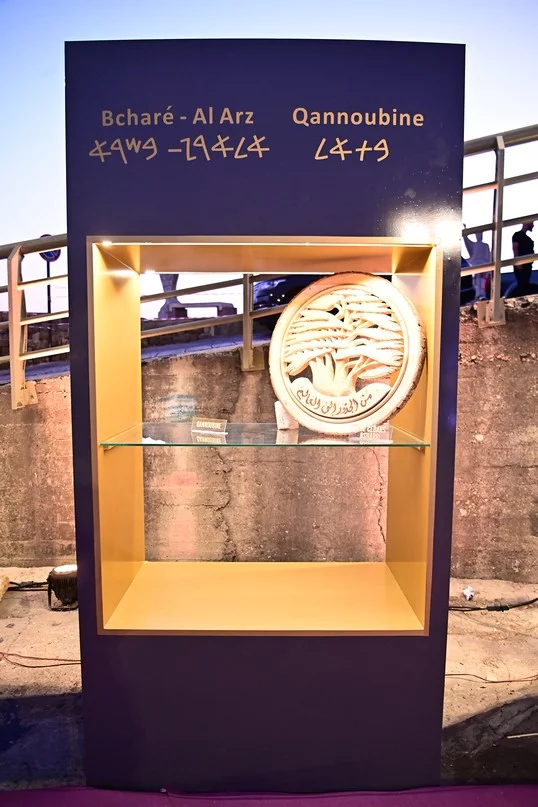 Fenikia Awards 2025