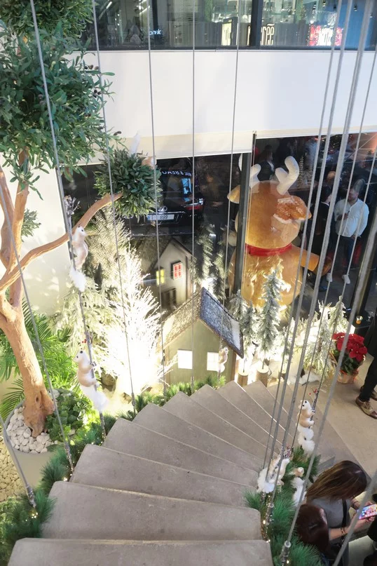 Opening of Hayat medical & Beauty Center