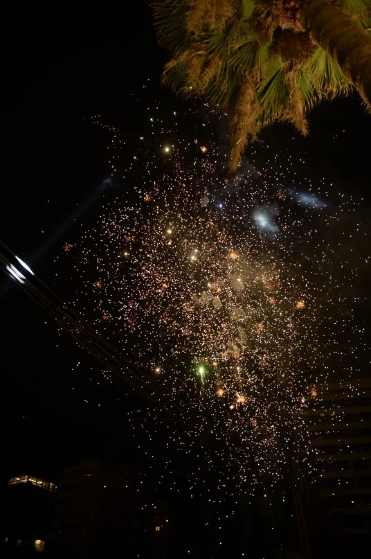 Opening of Salon Sami Idriss