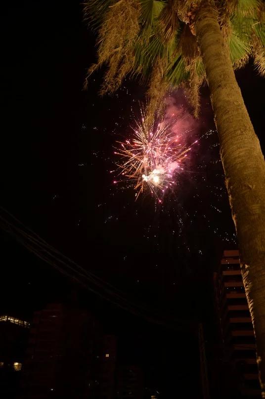 Opening of Salon Sami Idriss