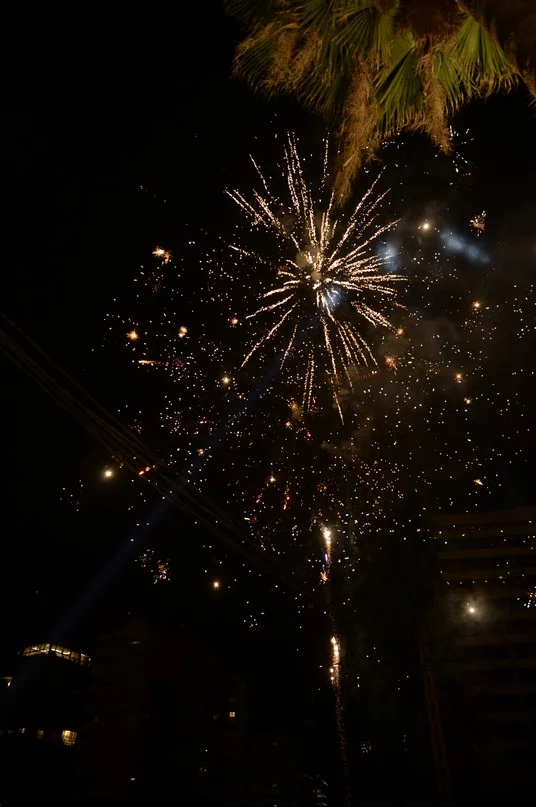 Opening of Salon Sami Idriss