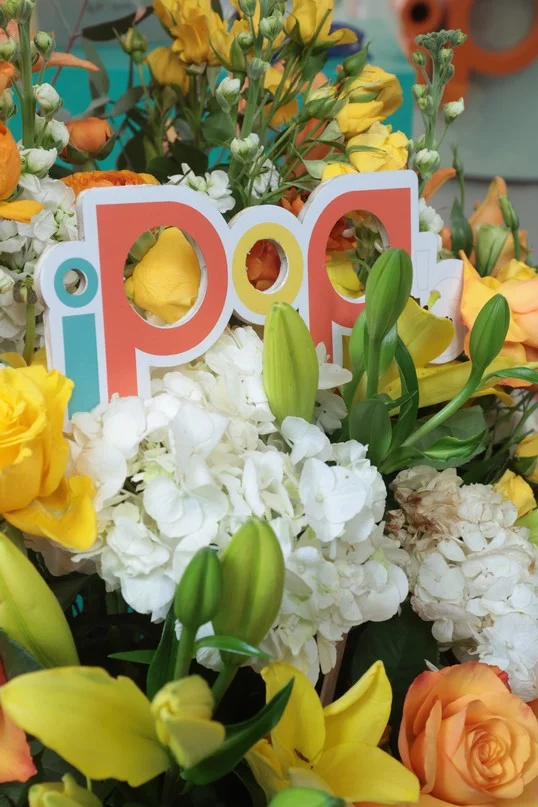 Opening of i-Pop Optics