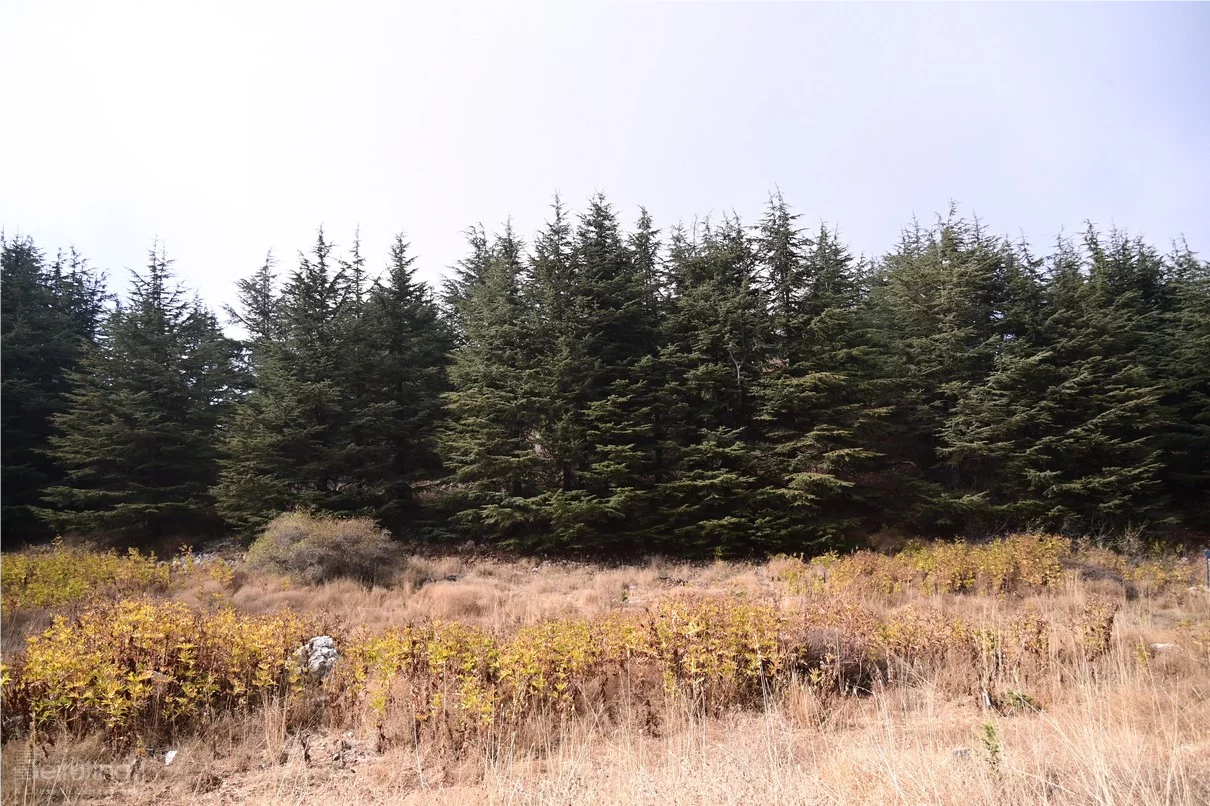 IPT and USEK Unite to Transform Waste into Energy