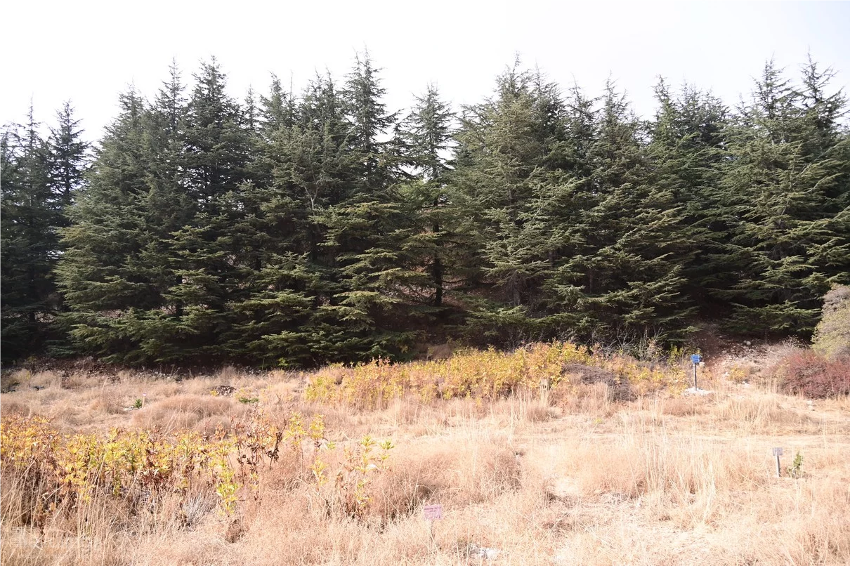 IPT and USEK Unite to Transform Waste into Energy