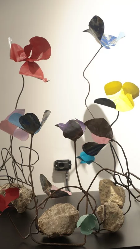 Madness of Hope, Safaa Alset’s solo Exhibition