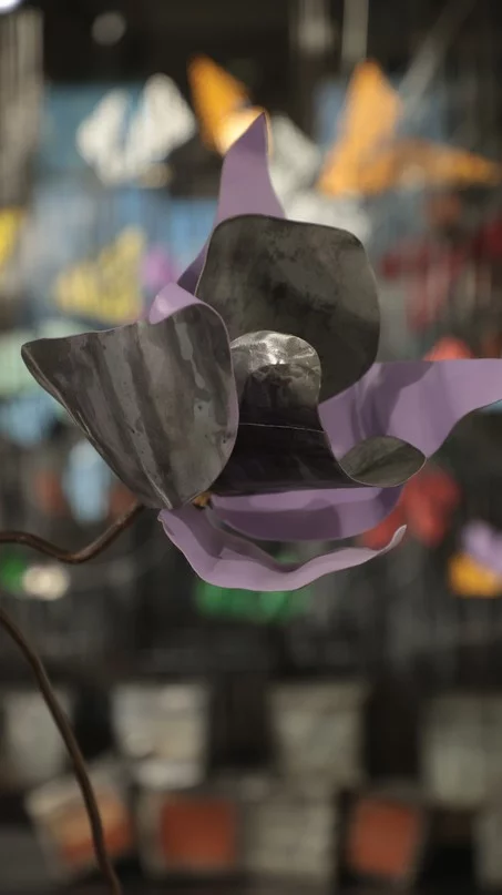 Madness of Hope, Safaa Alset’s solo Exhibition