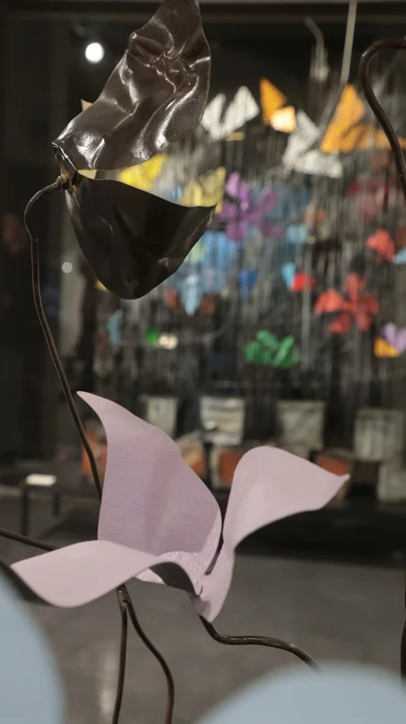 Madness of Hope, Safaa Alset’s solo Exhibition