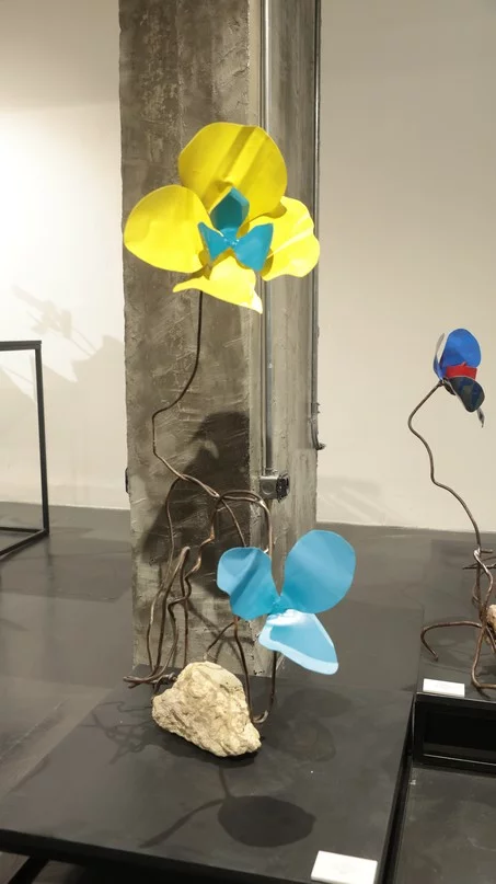 Madness of Hope, Safaa Alset’s solo Exhibition