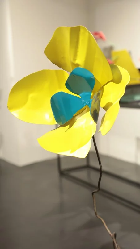 Madness of Hope, Safaa Alset’s solo Exhibition