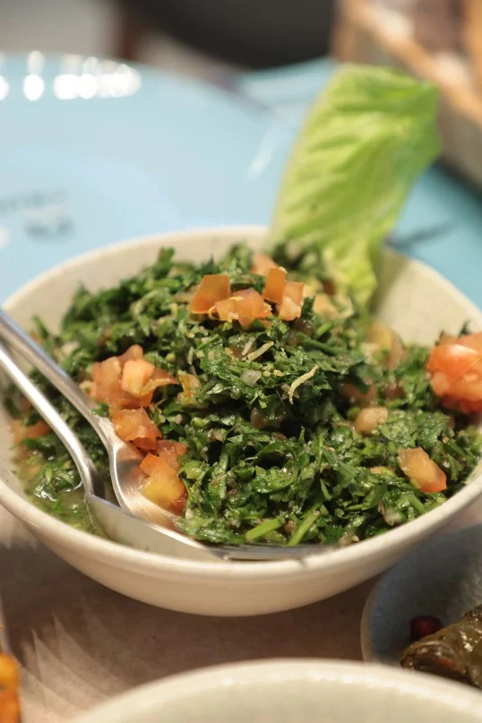 Opening of Lakkis Farm Tripoli