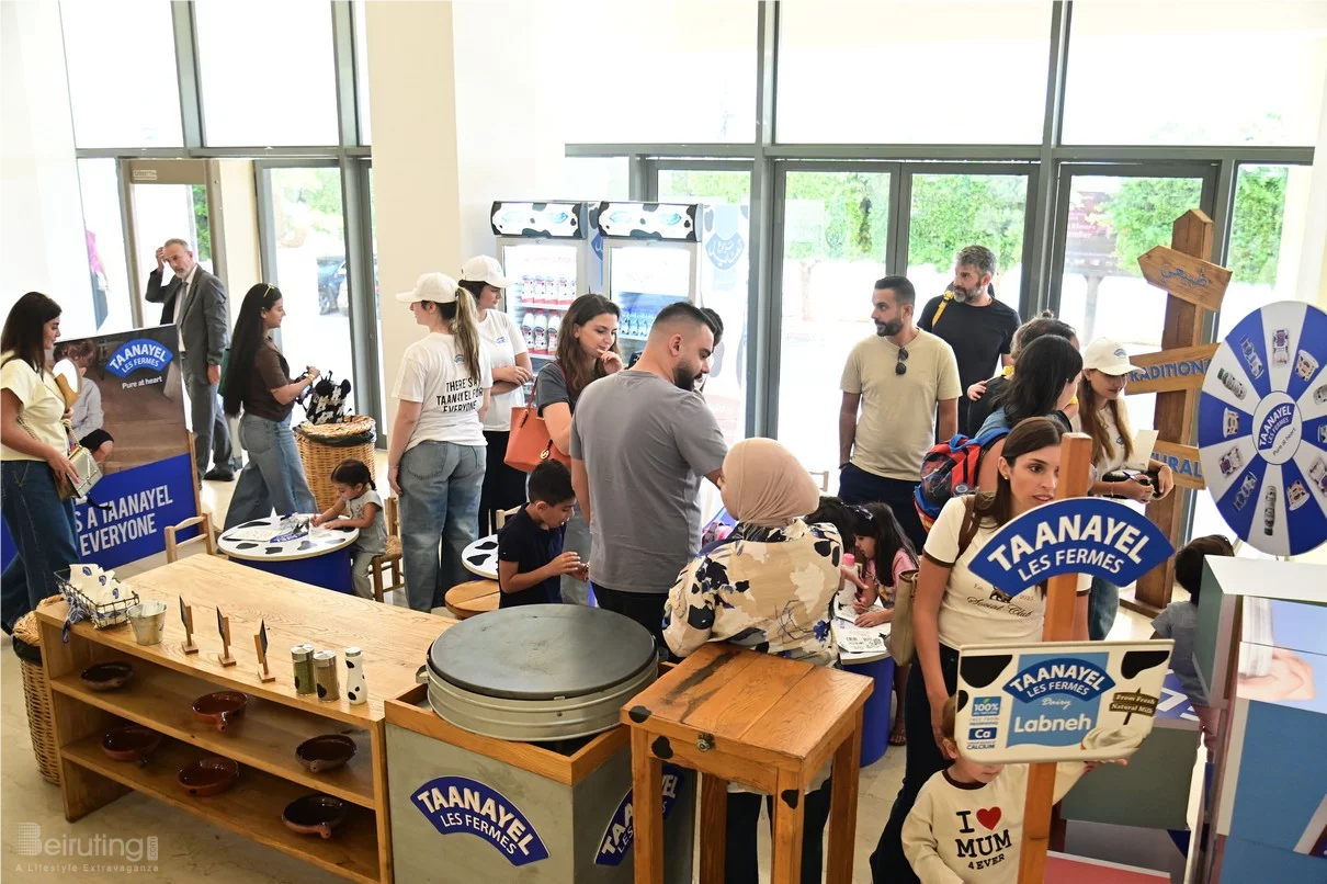 PINOCCHIO and FRIENDS - Winter Edition