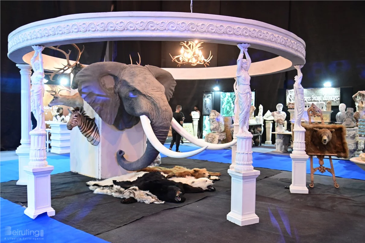 Royal Wedding Fair 2025