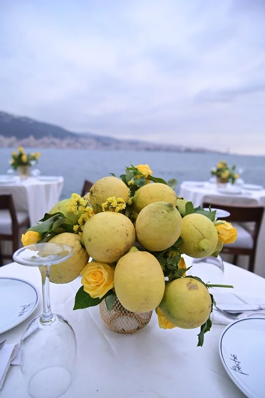 rhode x Shade Pieces Launch of the Lemontini Collection