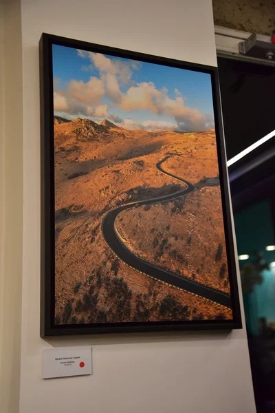 Art for Hope Initiative showcasing the rebirth of the smart All-Electric Compact SUV