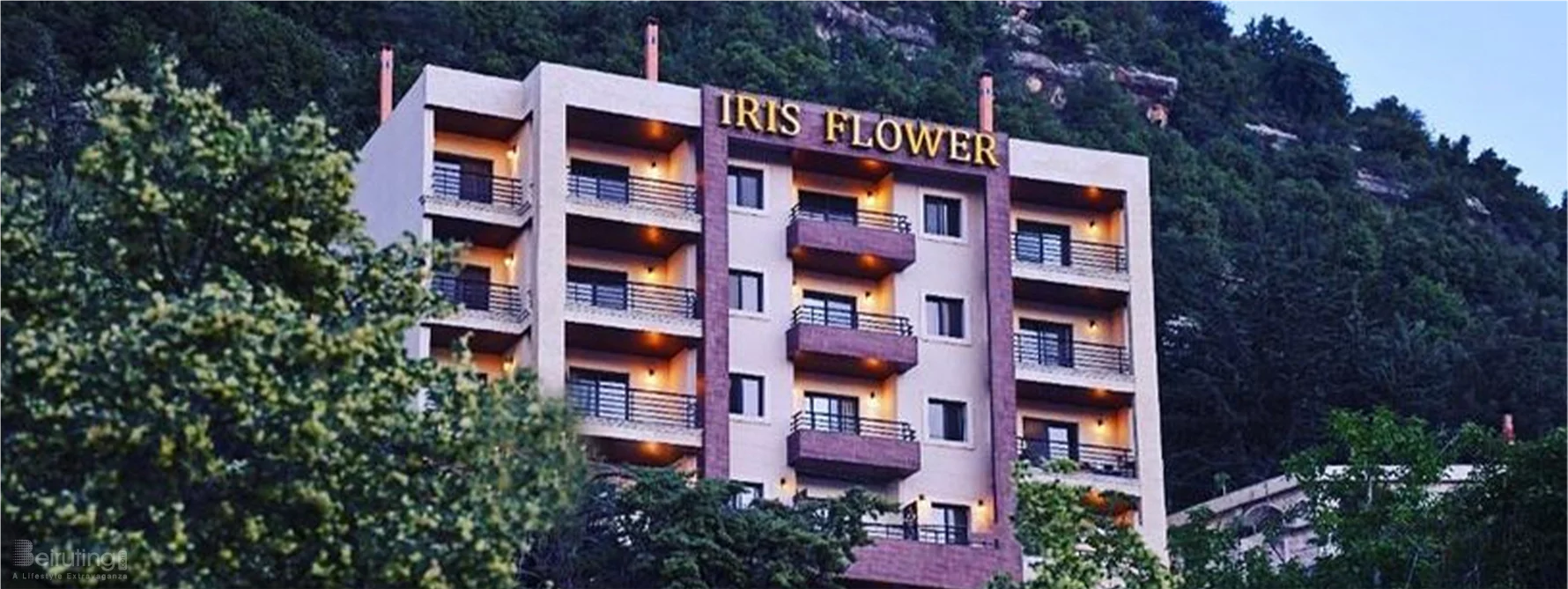 Iris Flower Hotel