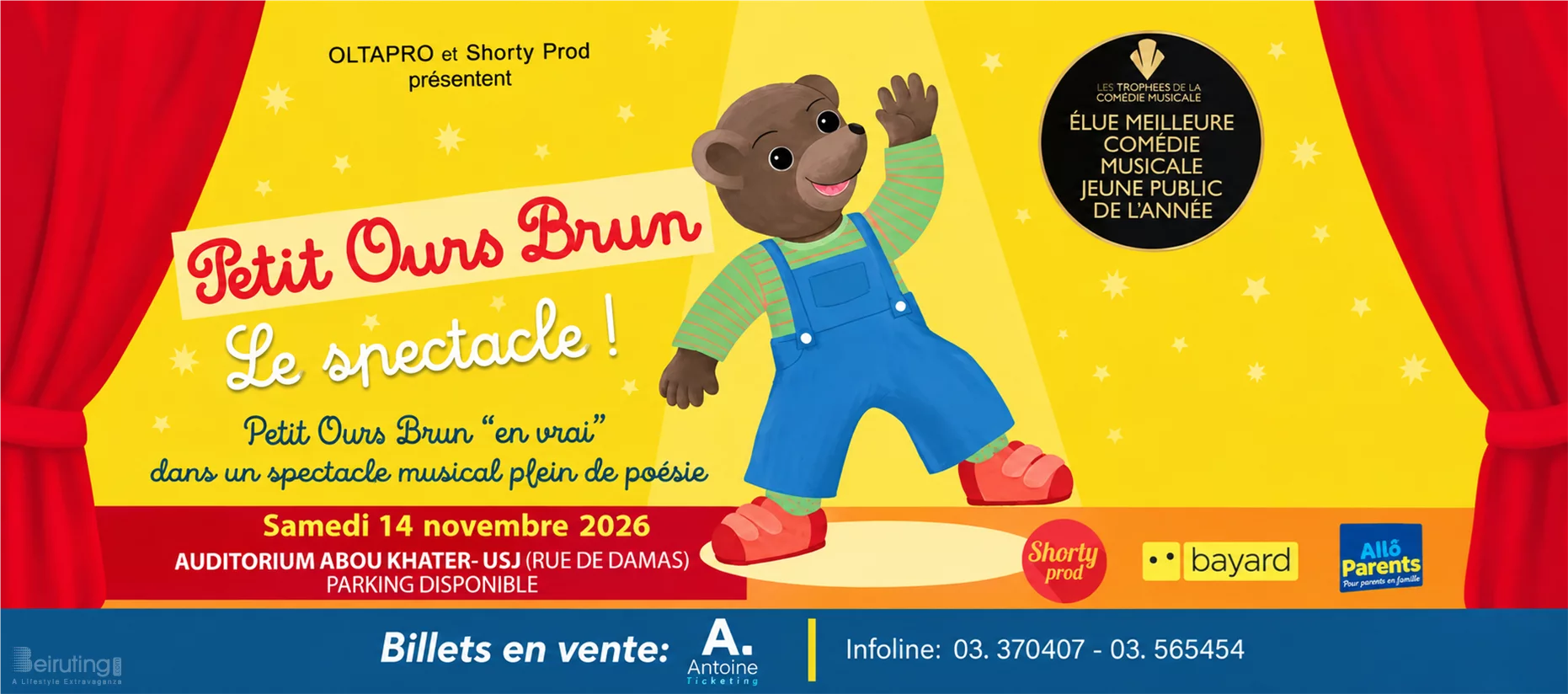 Petit Ours brun