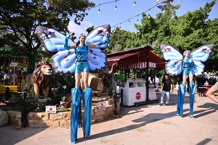 Dream Park Jungle Edition