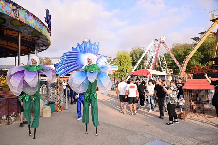 Dream Park Jungle Edition