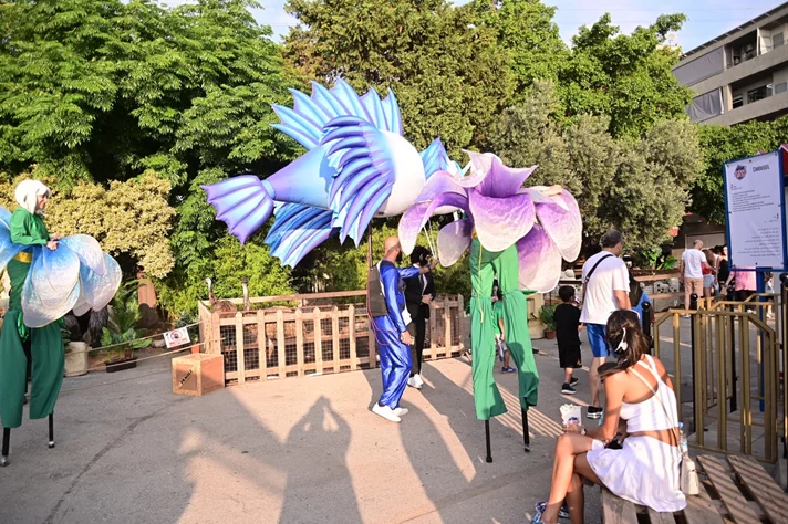 Dream Park Jungle Edition