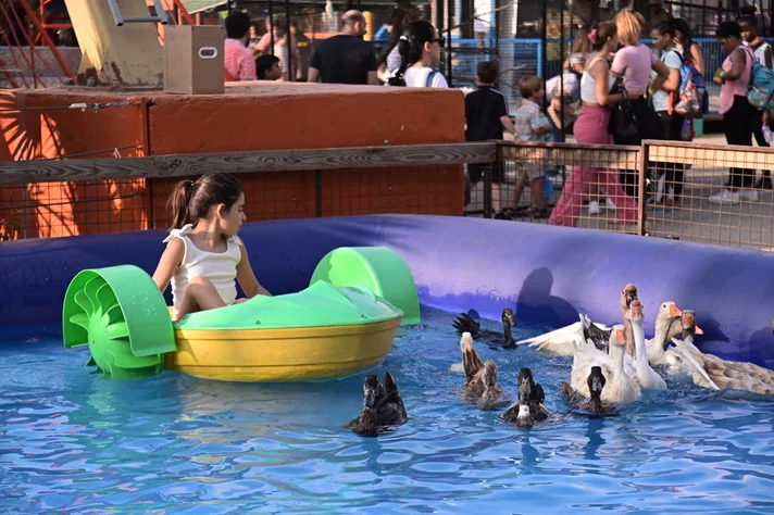 Dream Park Jungle Edition